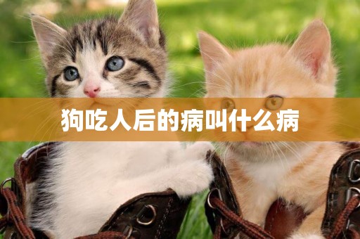 狗吃人后的病叫什么病