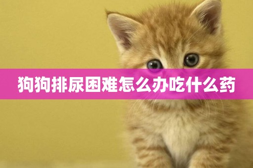 狗狗排尿困難怎么辦吃什么藥