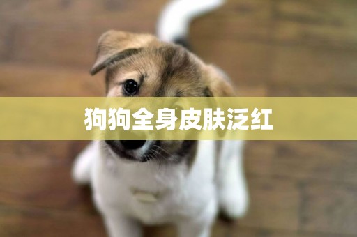 狗狗全身皮膚泛紅