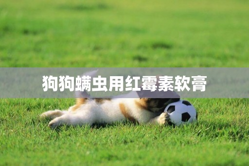 狗狗螨蟲用紅霉素軟膏