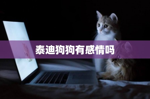 泰迪狗狗有感情嗎