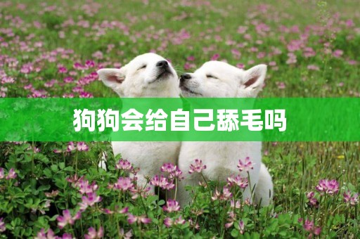 狗狗會給自己舔毛嗎