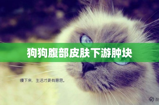 狗狗腹部皮膚下游腫塊