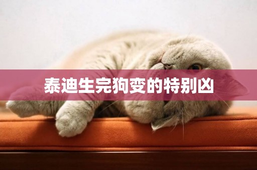泰迪生完狗變的特別兇