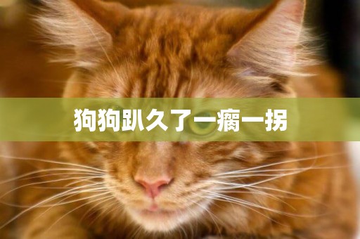 狗狗趴久了一瘸一拐