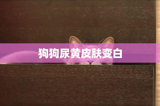 狗狗尿黃皮膚變白