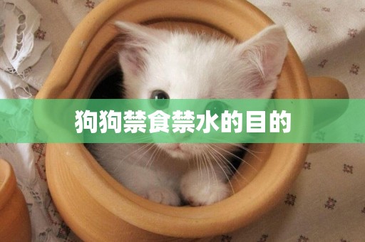 狗狗禁食禁水的目的