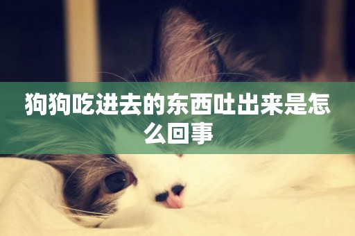 狗狗吃進去的東西吐出來是怎么回事