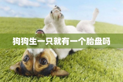 狗狗生一只就有一個胎盤嗎