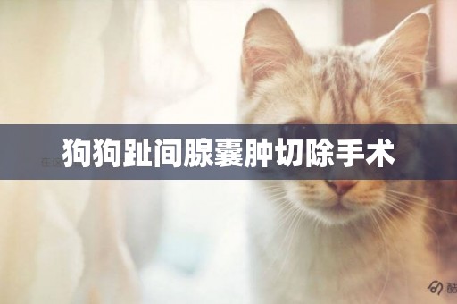 狗狗趾間腺囊腫切除手術