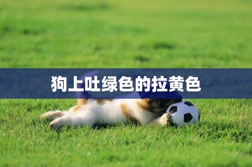 狗上吐綠色的拉黃色