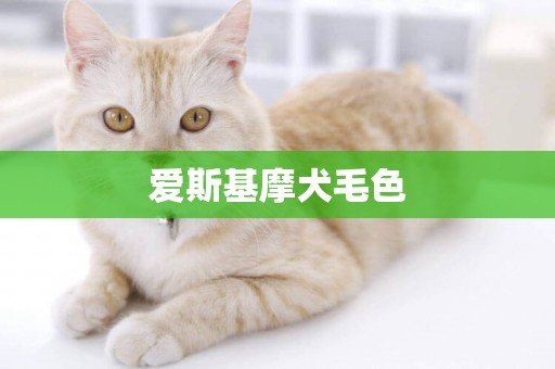 愛斯基摩犬毛色
