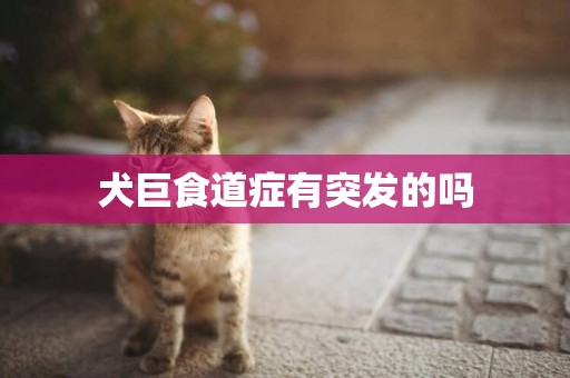 犬巨食道癥有突發的嗎