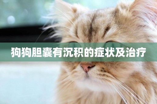 狗狗膽囊有沉積的癥狀及治療