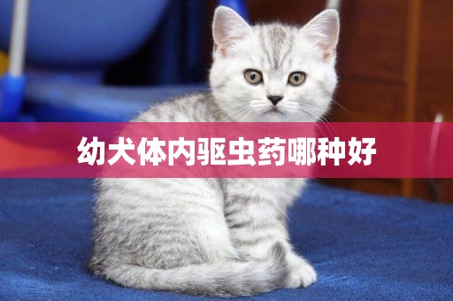 幼犬體內驅蟲藥哪種好