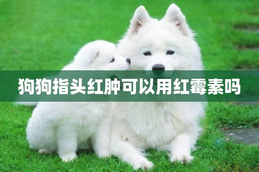 狗狗指頭紅腫可以用紅霉素嗎