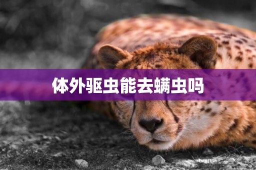 體外驅蟲能去螨蟲嗎