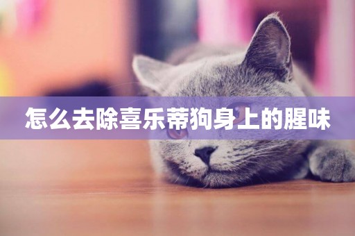 怎么去除喜樂蒂狗身上的腥味