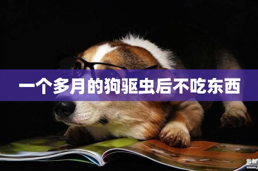 一個多月的狗驅蟲后不吃東西