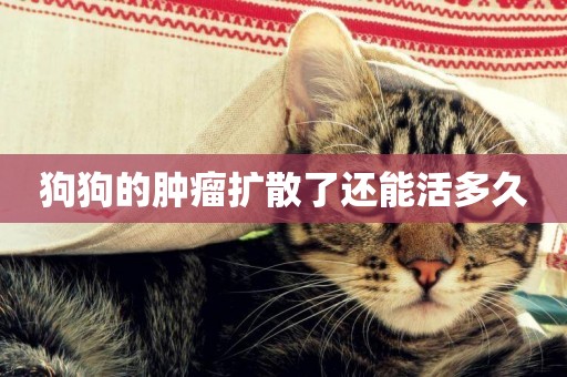 狗狗的腫瘤擴散了還能活多久