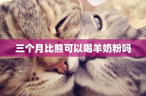 三個月比熊可以喝羊奶粉嗎