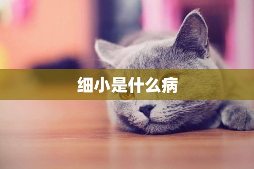 細小是什么病