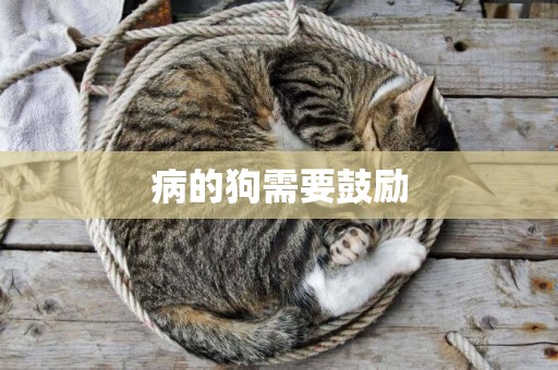 病的狗需要鼓勵