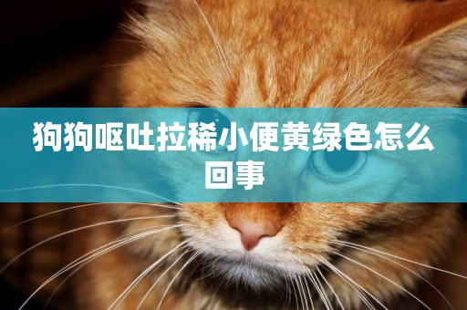 狗狗嘔吐拉稀小便黃綠色怎么回事