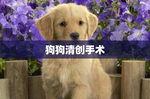 狗狗清創手術