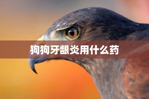 狗狗牙齦炎用什么藥