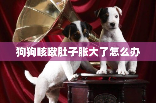 狗狗咳嗽肚子脹大了怎么辦