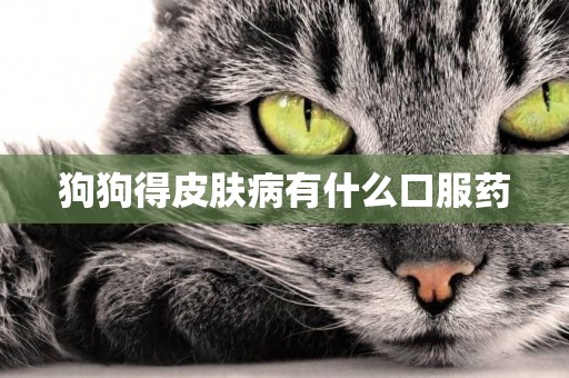狗狗得皮膚病有什么口服藥
