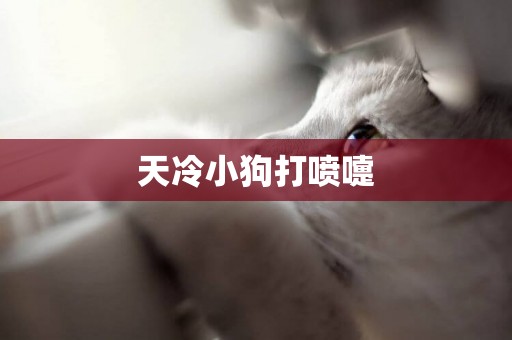 天冷小狗打噴嚏