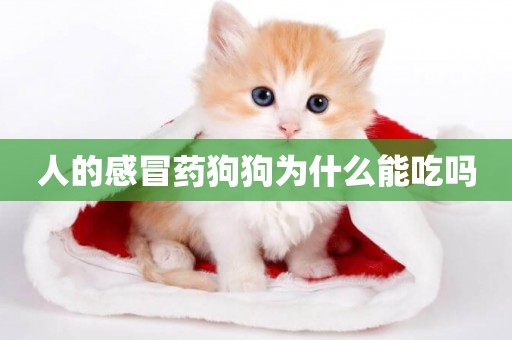 人的感冒藥狗狗為什么能吃嗎