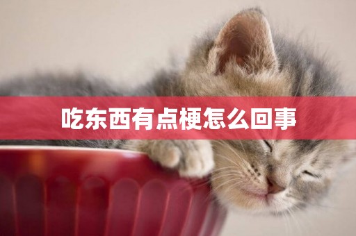 吃東西有點梗怎么回事