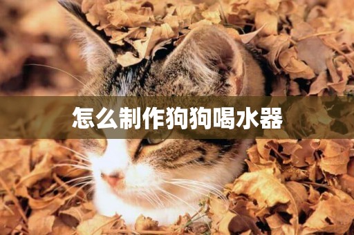 怎么制作狗狗喝水器