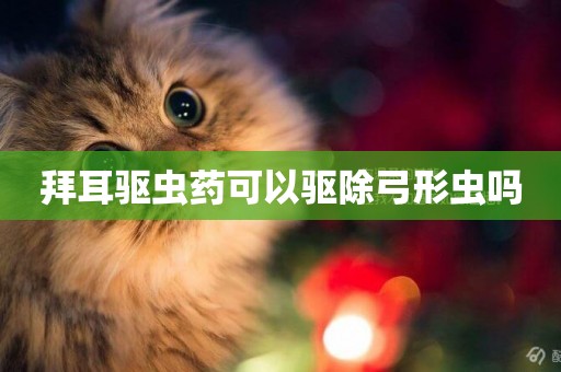 拜耳驅蟲藥可以驅除弓形蟲嗎