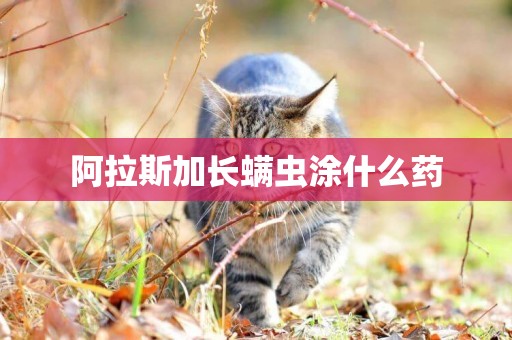 阿拉斯加長螨蟲涂什么藥