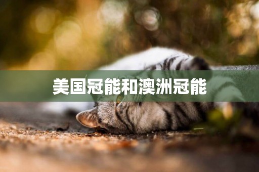 美國冠能和澳洲冠能