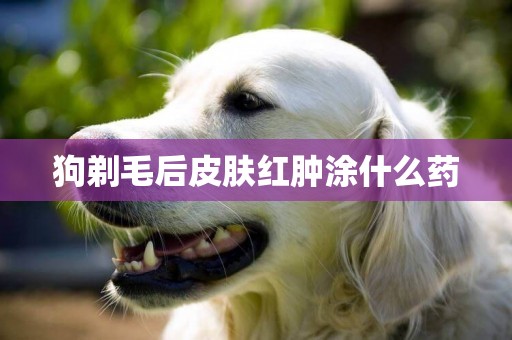 狗剃毛后皮膚紅腫涂什么藥