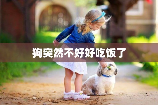 狗突然不好好吃飯了