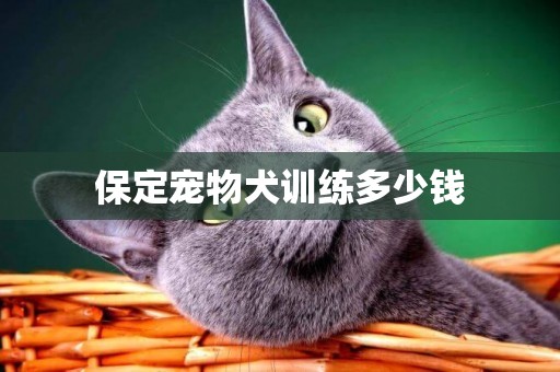 保定寵物犬訓練多少錢