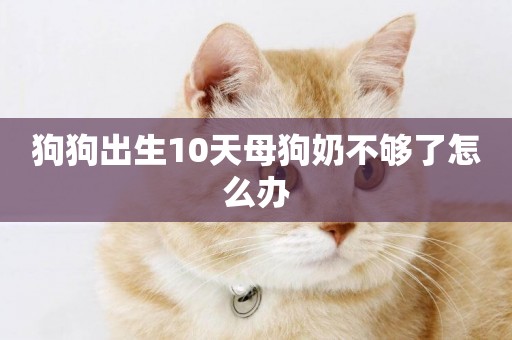 狗狗出生10天母狗奶不夠了怎么辦