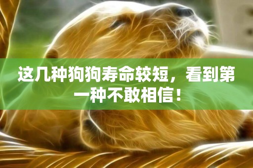 這幾種狗狗壽命較短，看到第一種不敢相信！