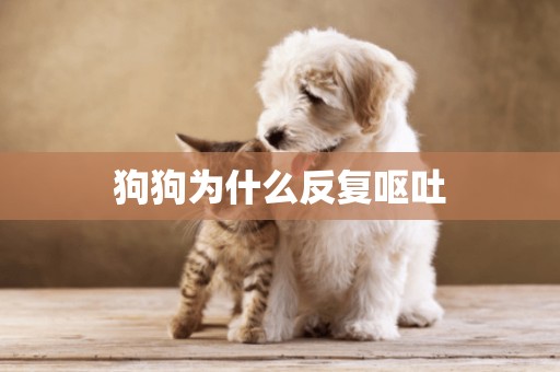狗狗為什么反復嘔吐