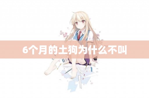 6個月的土狗為什么不叫