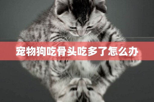 寵物狗吃骨頭吃多了怎么辦