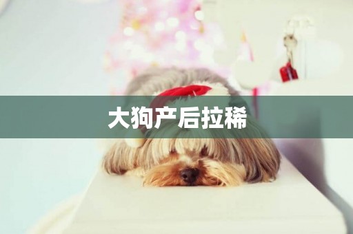大狗產后拉稀