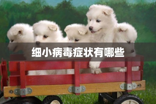 細小病毒癥狀有哪些