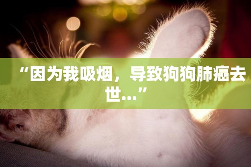 “因為我吸煙，導致狗狗肺癌去世...”